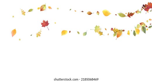 Leaves Falling. Autumn Flying Foliage. Chaotic Green, Yellow, Red Leaf Flying On White Background. Forest Design, Nature Elements. Ecology Vector Illustration. Environment Backdrop.