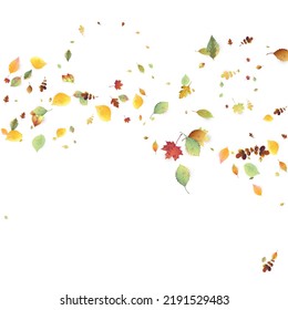 Leaves Falling. Autumn Flying Foliage. Chaotic Green, Yellow, Red Leaf Flying On White Background. Forest Design, Nature Elements. Ecology Vector Illustration. Environment Backdrop.