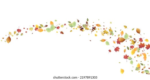 Leaves Falling. Autumn Flying Foliage. Chaotic Green, Yellow, Red Leaf Flying On White Background. Forest Design, Nature Elements. Ecology Vector Illustration. Environment Backdrop. - Shutterstock ID 2197891303