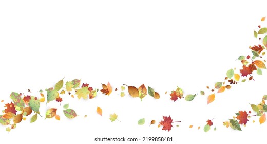Leaves Falling. Autumn Flying Foliage. Chaotic Green, Yellow, Red Leaf Flying On White Background. Forest Design, Nature Elements. Ecology Vector Illustration. Environment Backdrop.