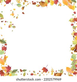 Leaves Falling. Autumn Flying Foliage. Chaotic Green, Yellow, Red Leaf Flying On White Background. Forest Design, Nature Elements. Ecology Vector Illustration. Environment Backdrop.