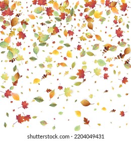 Leaves Falling. Autumn Flying Foliage. Chaotic Green, Yellow, Red Leaf Flying On White Background. Forest Design, Nature Elements. Ecology Vector Illustration. Environment Backdrop.