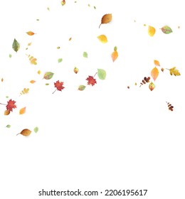 Leaves Falling. Autumn Flying Foliage. Chaotic Green, Yellow, Red Leaf Flying On White Background. Forest Design, Nature Elements. Ecology Vector Illustration. Environment Backdrop.