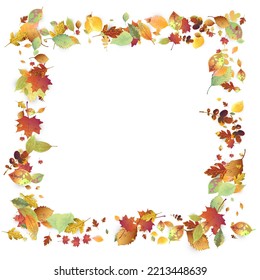 Leaves Falling. Autumn Flying Foliage. Chaotic Green, Yellow, Red Leaf Flying On White Background. Forest Design, Nature Elements. Ecology Vector Illustration. Environment Backdrop.