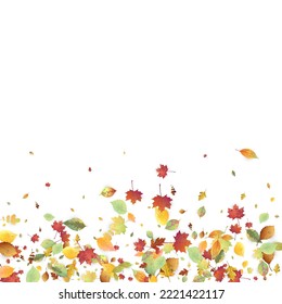 Leaves Falling. Autumn Flying Foliage. Chaotic Green, Yellow, Red Leaf Flying On White Background. Forest Design, Nature Elements. Ecology Vector Illustration. Environment Backdrop.