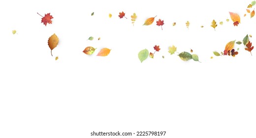 Leaves Falling. Autumn Flying Foliage. Chaotic Green, Yellow, Red Leaf Flying On White Background. Forest Design, Nature Elements. Ecology Vector Illustration. Environment Backdrop.