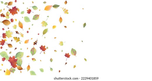 Leaves Falling. Autumn Flying Foliage. Chaotic Green, Yellow, Red Leaf Flying On White Background. Forest Design, Nature Elements. Ecology Vector Illustration. Environment Backdrop.