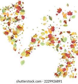 Leaves Falling. Autumn Flying Foliage. Chaotic Green, Yellow, Red Leaf Flying On White Background. Forest Design, Nature Elements. Ecology Vector Illustration. Environment Backdrop.