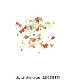Leaves Falling. Autumn Flying Foliage. Chaotic Green, Yellow, Red Leaf Flying On White Background. Forest Design, Nature Elements. Ecology Vector Illustration. Environment Backdrop.