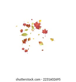 Leaves Falling. Autumn Flying Foliage. Chaotic Green, Yellow, Red Leaf Flying On White Background. Forest Design, Nature Elements. Ecology Vector Illustration. Environment Backdrop.