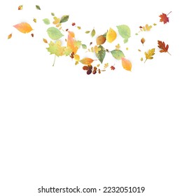 Leaves Falling. Autumn Flying Foliage. Chaotic Green, Yellow, Red Leaf Flying On White Background. Forest Design, Nature Elements. Ecology Vector Illustration. Environment Backdrop.