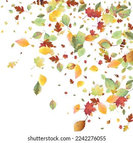 Leaves Falling. Autumn Flying Foliage. Chaotic Green, Yellow, Red Leaf Flying On White Background. Forest Design, Nature Elements. Ecology Vector Illustration. Environment Backdrop.