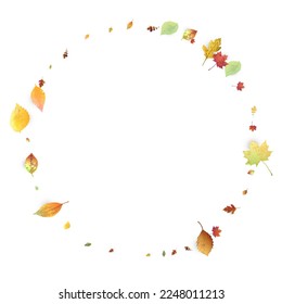Leaves Falling. Autumn Flying Foliage. Chaotic Green, Yellow, Red Leaf Flying On White Background. Forest Design, Nature Elements. Ecology Vector Illustration. Environment Backdrop.