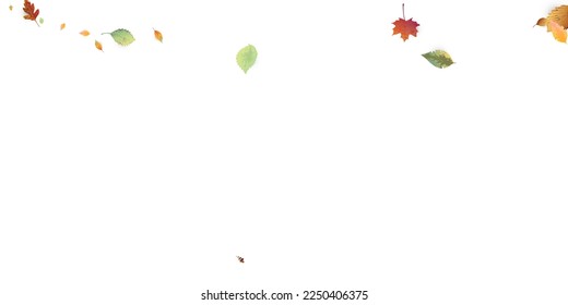 Leaves Falling. Autumn Flying Foliage. Chaotic Green, Yellow, Red Leaf Flying On White Background. Forest Design, Nature Elements. Ecology Vector Illustration. Environment Backdrop.