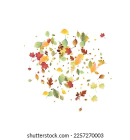 Leaves Falling. Autumn Flying Foliage. Chaotic Green, Yellow, Red Leaf Flying On White Background. Forest Design, Nature Elements. Ecology Vector Illustration. Environment Backdrop.