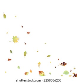 Leaves Falling. Autumn Flying Foliage. Chaotic Green, Yellow, Red Leaf Flying On White Background. Forest Design, Nature Elements. Ecology Vector Illustration. Environment Backdrop.