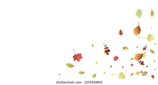 Leaves Falling. Autumn Flying Foliage. Chaotic Green, Yellow, Red Leaf Flying On White Background. Forest Design, Nature Elements. Ecology Vector Illustration. Environment Backdrop.