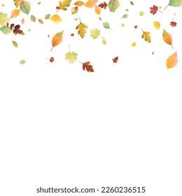 Leaves Falling. Autumn Flying Foliage. Chaotic Green, Yellow, Red Leaf Flying On White Background. Forest Design, Nature Elements. Ecology Vector Illustration. Environment Backdrop.