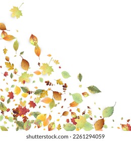 Leaves Falling. Autumn Flying Foliage. Chaotic Green, Yellow, Red Leaf Flying On White Background. Forest Design, Nature Elements. Ecology Vector Illustration. Environment Backdrop.