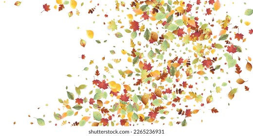Leaves Falling. Autumn Flying Foliage. Chaotic Green, Yellow, Red Leaf Flying On White Background. Forest Design, Nature Elements. Ecology Vector Illustration. Environment Backdrop.