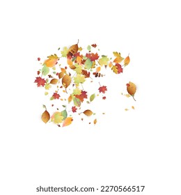 Leaves Falling. Autumn Flying Foliage. Chaotic Green, Yellow, Red Leaf Flying On White Background. Forest Design, Nature Elements. Ecology Vector Illustration. Environment Backdrop.