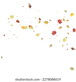 Leaves Falling. Autumn Flying Foliage. Chaotic Green, Yellow, Red Leaf Flying On White Background. Forest Design, Nature Elements. Ecology Vector Illustration. Environment Backdrop.