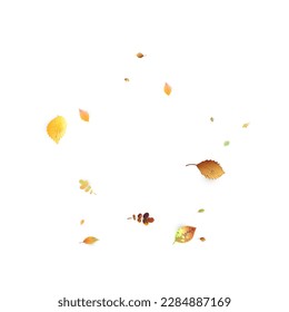 Leaves Falling. Autumn Flying Foliage. Chaotic Green, Yellow, Red Leaf Flying On White Background. Forest Design, Nature Elements. Ecology Vector Illustration. Environment Backdrop.