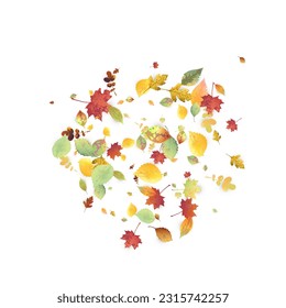 Leaves Falling. Autumn Flying Foliage. Chaotic Green, Yellow, Red Leaf Flying On White Background. Forest Design, Nature Elements. Ecology Vector Illustration. Environment Backdrop.