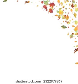 Leaves Falling. Autumn Flying Foliage. Chaotic Green, Yellow, Red Leaf Flying On White Background. Forest Design, Nature Elements. Ecology Vector Illustration. Environment Backdrop.