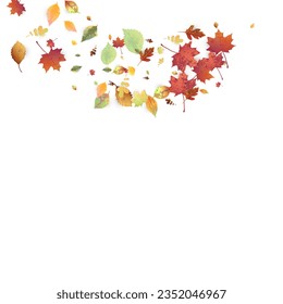 Leaves Falling. Autumn Flying Foliage. Chaotic Green, Yellow, Red Leaf Flying On White Background. Forest Design, Nature Elements. Ecology Vector Illustration. Environment Backdrop.