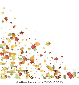 Leaves Falling. Autumn Flying Foliage. Chaotic Green, Yellow, Red Leaf Flying On White Background. Forest Design, Nature Elements. Ecology Vector Illustration. Environment Backdrop.