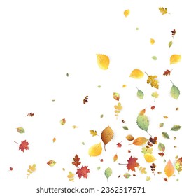 Leaves Falling. Autumn Flying Foliage. Chaotic Green, Yellow, Red Leaf Flying On White Background. Forest Design, Nature Elements. Ecology Vector Illustration. Environment Backdrop.