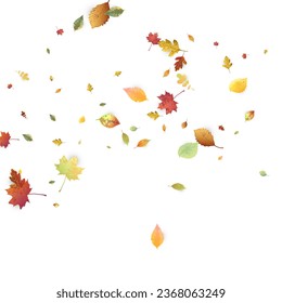Leaves Falling. Autumn Flying Foliage. Chaotic Green, Yellow, Red Leaf Flying On White Background. Forest Design, Nature Elements. Ecology Vector Illustration. Environment Backdrop.