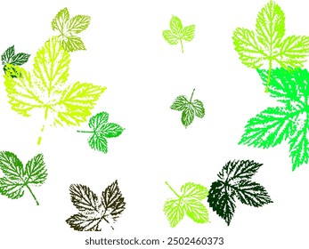 Leaves Falling. Autumn Flying Foliage. Chaotic Green, Yellow, Red Leaf Flying On White Background.  eco concept. top view. flat lay.