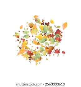 Leaves Falling. Autumn Flying Foliage. Chaotic Green, Yellow, Red Leaf Flying On White Background. Forest Design, Nature Elements. Ecology Vector Illustration. Environment Backdrop.