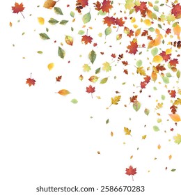 Leaves Falling. Autumn Flying Foliage. Chaotic Green, Yellow, Red Leaf Flying On White Background. Forest Design, Nature Elements. Ecology Vector Illustration. Environment Backdrop.