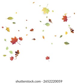 Folhas Caindo. Foliagem Voadora de outono. Verde Caótico, Amarelo, Folha Vermelha Voando Sobre Fundo Branco. Desenho Florestal, Elementos da Natureza. Ilustração de Vetor Ecológico. Ambiente de fundo.
