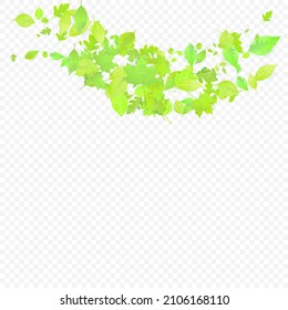 Leaves Falling. Spring Flying Foliage. Chaotic Green Leaf Flying On Transparent Background. Forest Design, Nature Elements. Ecology Vector Illustration. Environment Backdrop.
