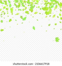 Leaves Falling. Spring Flying Foliage. Chaotic Green Leaf Flying On Transparent Background. Forest Design, Nature Elements. Ecology Vector Illustration. Environment Backdrop.
