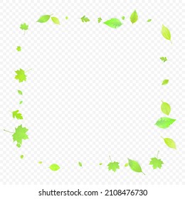 Leaves Falling. Spring Flying Foliage. Chaotic Green Leaf Flying On Transparent Background. Forest Design, Nature Elements. Ecology Vector Illustration. Environment Backdrop.