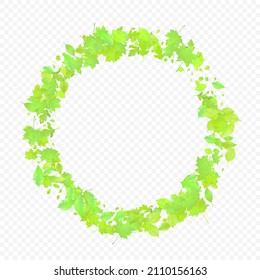 Leaves Falling. Spring Flying Foliage. Chaotic Green Leaf Flying On Transparent Background. Forest Design, Nature Elements. Ecology Vector Illustration. Environment Backdrop.