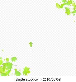 Leaves Falling. Spring Flying Foliage. Chaotic Green Leaf Flying On Transparent Background. Forest Design, Nature Elements. Ecology Vector Illustration. Environment Backdrop.