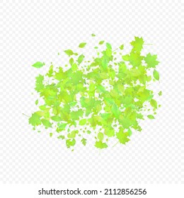 Leaves Falling. Spring Flying Foliage. Chaotic Green Leaf Flying On Transparent Background. Forest Design, Nature Elements. Ecology Vector Illustration. Environment Backdrop.