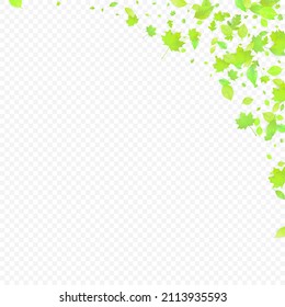 Leaves Falling. Spring Flying Foliage. Chaotic Green Leaf Flying On Transparent Background. Forest Design, Nature Elements. Ecology Vector Illustration. Environment Backdrop.