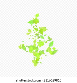 Leaves Falling. Spring Flying Foliage. Chaotic Green Leaf Flying On Transparent Background. Forest Design, Nature Elements. Ecology Vector Illustration. Environment Backdrop.