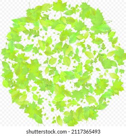 Leaves Falling. Spring Flying Foliage. Chaotic Green Leaf Flying On Transparent Background. Forest Design, Nature Elements. Ecology Vector Illustration. Environment Backdrop.