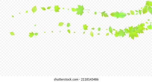 Leaves Falling. Spring Flying Foliage. Chaotic Green Leaf Flying On Transparent Background. Forest Design, Nature Elements. Ecology Vector Illustration. Environment Backdrop.