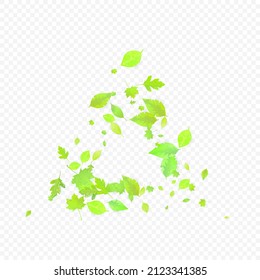 Leaves Falling. Spring Flying Foliage. Chaotic Green Leaf Flying On Transparent Background. Forest Design, Nature Elements. Ecology Vector Illustration. Environment Backdrop.