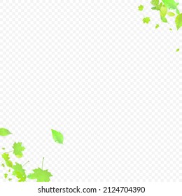 Leaves Falling. Spring Flying Foliage. Chaotic Green Leaf Flying On Transparent Background. Forest Design, Nature Elements. Ecology Vector Illustration. Environment Backdrop.