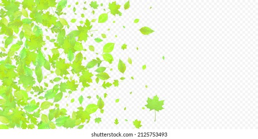 Leaves Falling. Spring Flying Foliage. Chaotic Green Leaf Flying On Transparent Background. Forest Design, Nature Elements. Ecology Vector Illustration. Environment Backdrop.
